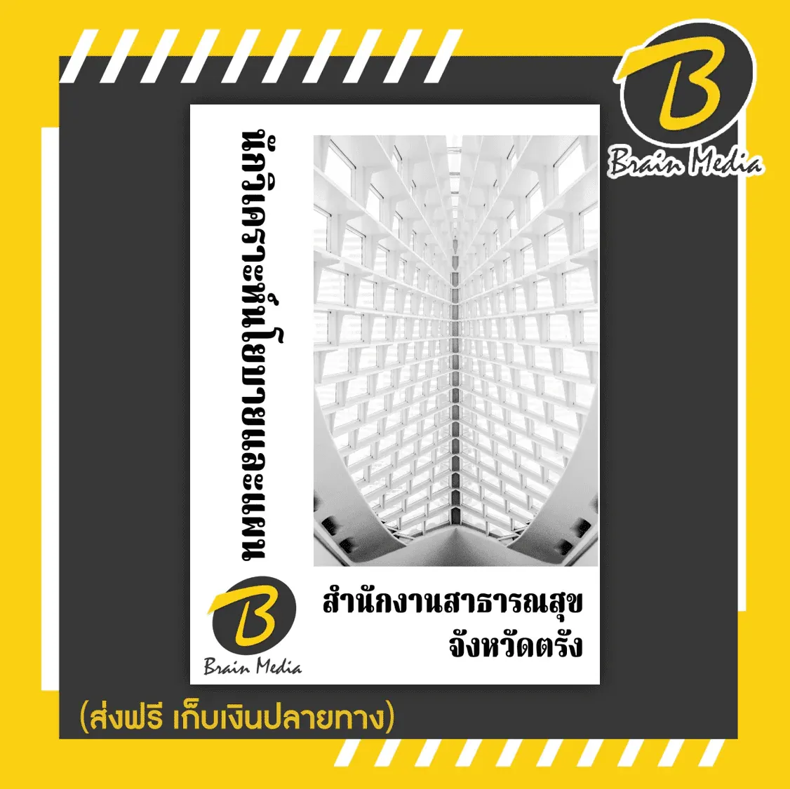 รูปภาพ26