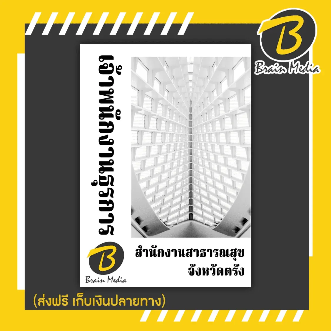 รูปภาพ23